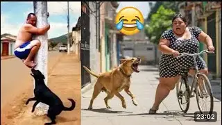 Hilarious & Interesting Videos Ever  || Haha😂😂 ||  Laugh Out Loud🤣 || Episode 11 ||