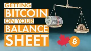 Полное руководство по биткоину для бизнеса: как добавить BTC на свой баланс