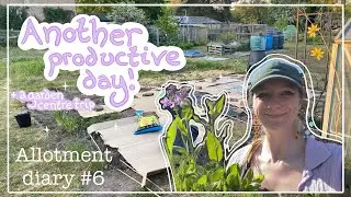 More prep work for my raised beds + a garden centre visit | 🌸🌱 Allotment diary 6 🌱🌸
