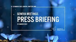 25 March 2022 - Press briefing from IIFB, Geneva Meetings 2022