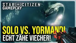 Ich habe den Yormandi SOLO versucht! Ganz sch&ouml;n z&auml;he Biester... | 4.3.2 Star Citizen Gameplay
