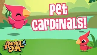 Pet Cardinals are now in Jamaa!