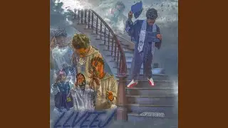 LLVEEJ