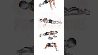 Push-Up Exercise for Chest, Arms & Core at Home