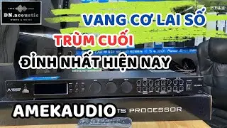 VANG CƠ LAI SỐ HAY NHẤT HIỆN NAY - AMEKAUDIO VR 300PR