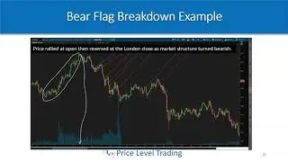 Lesson 7f - Bull and Bear Flags Strategy