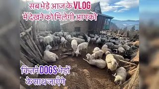What type of Himalayan floods are there?