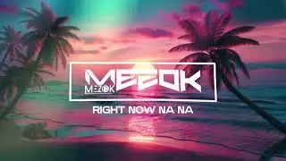 MEZOK - AFRO RIGHT NOW NA NA (Remix) [UTE UTE] 2026