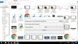 Junk file organizer with python and pyqt5