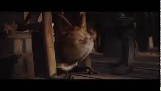 Me Getting Scared By Loth-cat