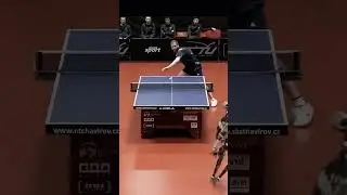 Table Tennis Robot vs Human, Who Wins