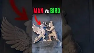 Did Lord Krishna Really Kill a Bird?🤯