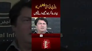 Barrister Muhammad Ali Saif Reply TO Uzma Bukhari |Such News