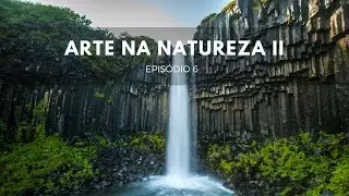 Arte na Natureza Parte 2 | Origens #6