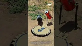 Homemade bird trap: catching birds with a simple trap