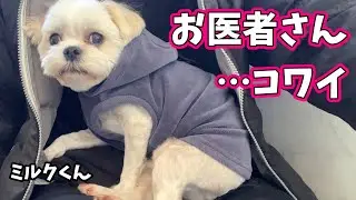 お医者さん…コワイ★ミルクくん★