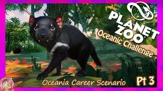 Happy Anniversary! | Planet Zoo | Oceania Career Scenario