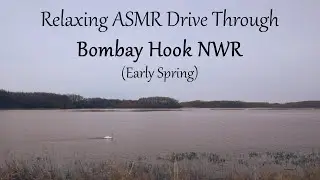 Relaxing ASMR Drive Through Bombay Hook National Wildlife Reserve (Early Spring) (Binaural)