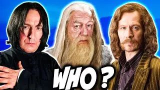 Harry Potter's TOP 5 Biggest Mentors (RANKED) - Harry Potter Theory