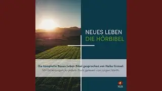 4. Mose 13 - Die komplette Neues Leben Bibel