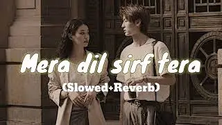 Mera Dil Sirf Tera | Original Hindi Song | Romantic Love Track 2025 | Bollywood song |