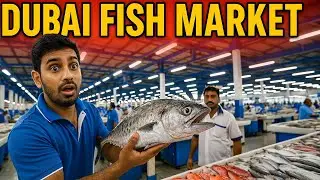 Walk With Me Through Dubai’s CRAZIEST Fish Market 2026!