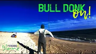 Massive SURF FISH on this TINY BAIT! Pensacola, Florida.