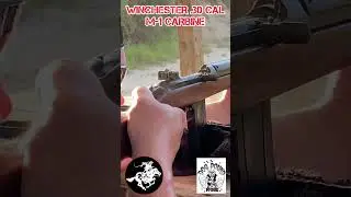 WINCHESTER M1 CARBINE SHORT!🔥💯 #shorts #shooting #shortsfeed #short #review #guns #range #safe