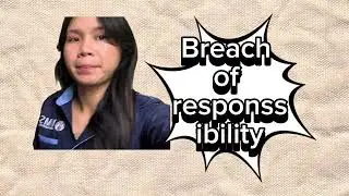 BT21503 BUSINESS ETHICS | BREACH OF CONSUMER DATA PRIVACY by Annie Roman BB22110378