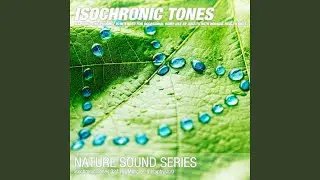 Isochronic Tones 324 Hz (Muscles-metaphysics) 05