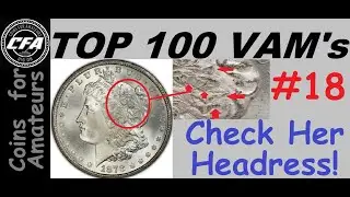 1878 CC VAM 18 'Doubled Leaves' Morgan Doubled Die Variety | What are Carson City VAMs Worth? PCGS