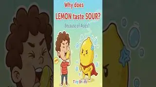 Why lemon tastes sour 😖#trending #shortsfeed #shorts