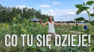 Nowa Ziemia - Aktualizacja