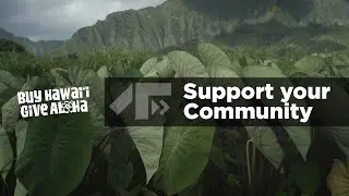 Buy Local Hawaii - Support Your Community
