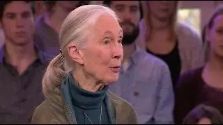Jane Goodall on naming animals during her research