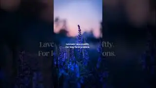Continue this mood with the full-length LUMA session.Link in description. 🌿