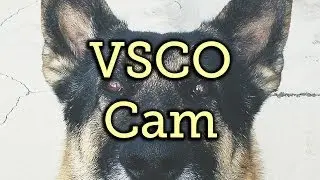 Get Professional-Looking Photos on Your Nexus 7 Tablet Using VSCO Cam [How-To]