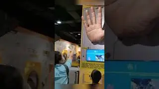 Innovative Interactive Installations: Transforming Museum Decoration & Event Design