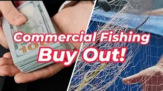 Commercial Fishing Buy Out In North Carolina?