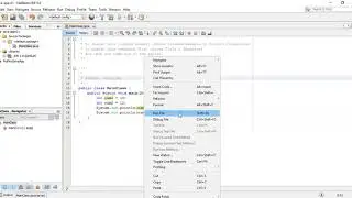 003 - Java Netbeans for Information Practices +1 & +2 || Datatypes and Variables