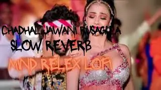 chadhal jawani rasgulla slowed reverb lofi | @lofisong-k | bhojpuri lofi |#slowedreverb #lofisong
