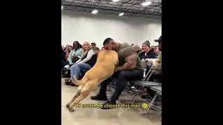 These Dogs choose their owners #dogadoption #dogs #choose