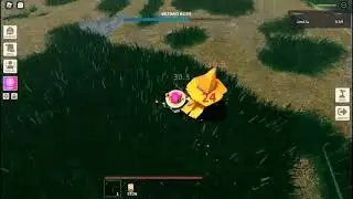 fighting  wizard boss (ROBLOX islands)