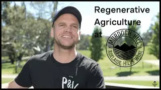 Building soil in vineyard via regenerative agriculture and the 'Grazing Naturally Method'