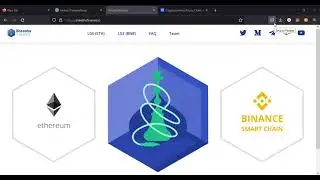 STAKING YOUR SHEESHA FINANCE TOKENS