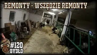#120 Bydło opasowe - Aktualny stan hodowli i remontu obory.