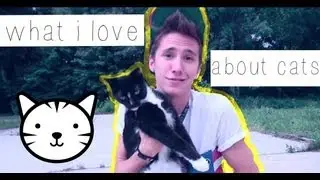 What I Love About Cats | maffewdevriez