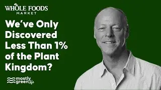 Walter Robb of Whole Foods Market Discusses a Future Where Food Will Be Linked to Certain Diseases