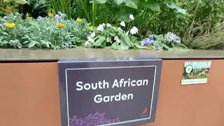 South African Garden at Flower Dome Singapore 2025