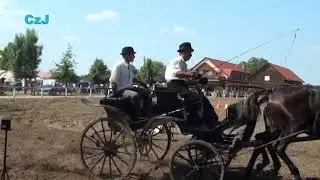 Fogathajt&aacute;s (Kiss Antal), Hajd&uacute;n&aacute;n&aacute;s, 2012.07.28.